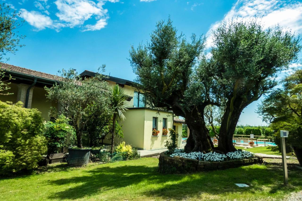 Agriturismo" Il Glicine Bianco" Monzambano Dış mekan fotoğraf